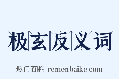 极玄反义词是什么意思的图片